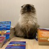 Логотип телеграм канала @territoriya03prava — Территория 03 ПРАВА