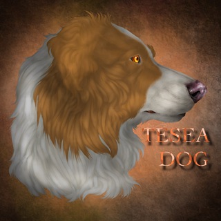 Логотип телеграм канала @teseadogs — 𝚃𝚎𝚜𝚎𝚊.𝚍𝚘𝚐𝚜