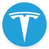 Logo of telegram channel teslagamble — Tesla Gamble