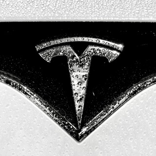 Logo of telegram channel teslamotorsuk — Tesla Motors Fans ⚡