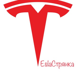 Логотип телеграм канала @teslastryankaa — TESLAстрянка Инвестиции Трейдинг Финансы