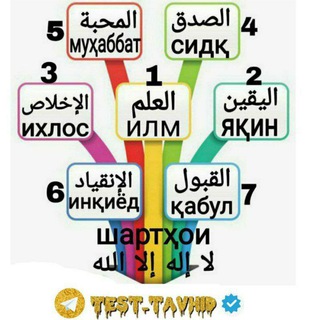Telegram kanalining logotibi test_tavhid — 📝●ИЛМ●Ҷаҳлро нобуд мекунад✍️