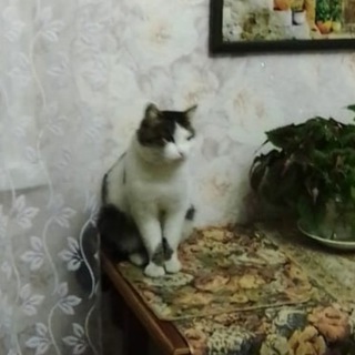 Логотип телеграм канала @testfuerunterricht — Тестовый