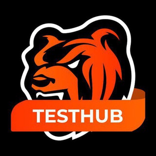 Логотип телеграм канала @testhub_br — TESTHUB | BLACK RUSSIA