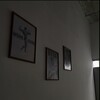 Логотип телеграм канала @testoster0ne — 400мг кофеина💊