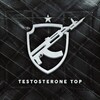 Логотип телеграм канала @testosteronetop — TESTOSTERONE TOP