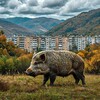 Логотип телеграм канала @tetyhe — Тетюхе | Дальнегорск
