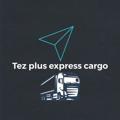 Logo saluran telegram tez_plus_express_cargo — Plus  Express Cargo ️🇨🇳🇺🇿