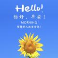 电报频道的标志 tf706116 — 重庆外围（小花花）