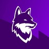 Логотип телеграм канала @tf_liga — Тюменская Футбольная Лига