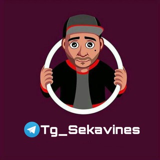 Логотип телеграм канала @tg_sekavines — Sekavines🐼