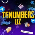 Logo saluran telegram tg_numbers_uz — 𝙏𝙂 𝙉𝙪𝙢𝙗𝙚𝙧𝙨 𝙐𝙕 💰