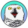 Telegram channel Биполярная сова 🦉 | Про зверят 🐾 logo