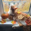 Логотип телеграм канала @tgc_ksyusha — 𝖙𝖌𝖐