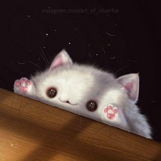Логотип телеграм канала @tgmeow — MEOW 🇺🇦