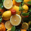 Telegram channel uz_lemon logo