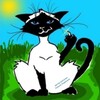 Logo of telegram channel thacats — Купить тайского котёнка