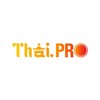 Telegram channel THAI.PRO logo