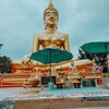 Логотип телеграм канала @thailand_for_you — Будде и не снилось