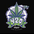 Logo saluran telegram thaoduoc420club — 🥦🥬𝕋𝕙ả𝕠 𝔻ượ𝕔 𝕊𝕥𝕠𝕣𝕖🥬🥦