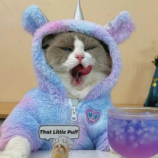 Логотип телеграм канала @thatlittlepuff — ThatLittlePuff