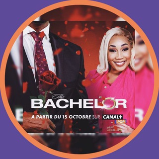 Logo de la chaîne télégraphique the_bachelorvf - The Bachelor 🇫🇷 VF FR Saison 1 2 Intégrale