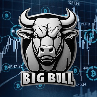 The Big Bull - Telegram Channels
