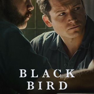 لوگوی کانال تلگرام the_black_bird — Black Bird