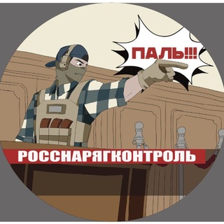 Logo of telegram channel the_doomer_squad — РосСнарягКонтроль (тот самый DOOMER_SQUAD)
