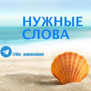 Логотип телеграм канала @the_expressions — Нужные слова