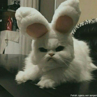 Логотип телеграм канала @the_f0rest — Гей порно the forest