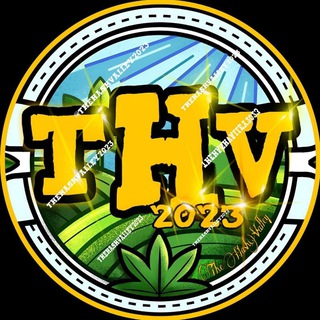 Logo saluran telegram the_hashvalley — The Hash Valley 🇲🇦 Official