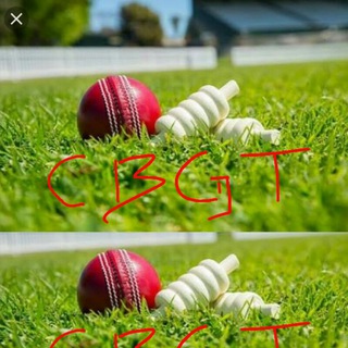 Logo saluran telegram the_real_cbgt_8788 — Team CBGT Cricket Betting Report