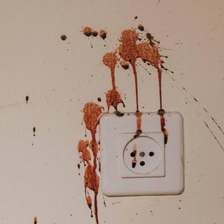 Logo of telegram channel the_slaughter710 — The Slaughter 710