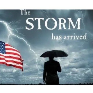 Telegram channel The Storm logo