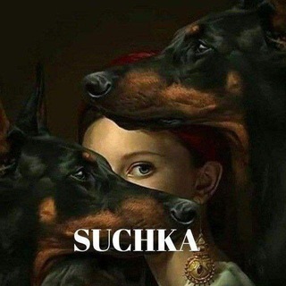Logo of telegram channel the_suchka — THE_SUCHKA.