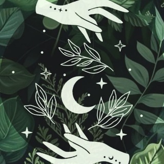 Логотип телеграм канала @the_witches_circle — 🌙 Ведьмина Обитель ✨🌿