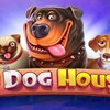 Logo of telegram channel the_dog_housex — The Dog House