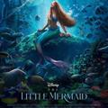 Logo de la chaîne télégraphique the_little_mermaid3 - The Little Mermaid 💯