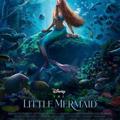Logo saluran telegram the_little_mermaid_disney — The Little mermaid Disney
