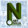 Logo of telegram channel the_netnaija — The NetNaija.com: Free Movie & Series