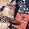 Логотип телеграм канала @the_pegasus_stall — Стойло Пегаса