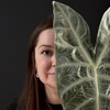 Логотип телеграм канала @the_plant_station — Хойи Мельхер