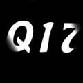 Logo de la chaîne télégraphique the_punisherq17 - The Punisher Q17 NOT
