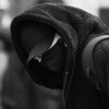 Логотип телеграм канала @the_redthread — THE RED THREAD.