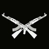 Логотип телеграм канала @the_russian_army — Армия России