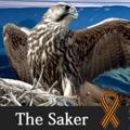 Logo saluran telegram the_saker — The Saker