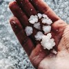 Логотип телеграм канала @the_soil_salt — Соль земли