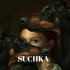 Логотип телеграм канала @the_suchka — THE SUCHKA.