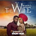 Logo saluran telegram the_wife_showmax — THE WIFE []SHOWMAX[]🎥